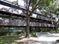 Oaks At Southpoint: 6621 Southpoint Drive North, Jacksonville, FL 32216