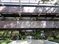 Oaks At Southpoint: 6621 Southpoint Drive North, Jacksonville, FL 32216
