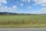 Swan Valley Farms | Price Reduced!: 0 Valley Road, Swan Valley, ID 83449