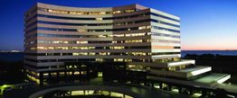 ISLAND CENTER: 2701 N Rocky Point Dr, Tampa, FL 33607