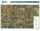 Combined Agricultural Groves: 6750 & 6880 37th Street, Vero Beach, FL 32966