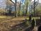 COMMERCIAL LEASE - 4,250 SQ.FT : 10901 Crabapple Rd, Roswell, GA 30075
