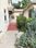 Multifamily For Sale: 2011 S Shenandoah St, Los Angeles, CA 90034