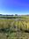 Belle Fourche, SD lot ( Can-Am highway): Lot 3 Dakota Avenue, Belle Fourche, SD 57717