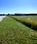 Belle Fourche, SD lot ( Can-Am highway): Lot 3 Dakota Avenue, Belle Fourche, SD 57717
