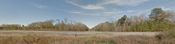 Land For Sale: 5350 McFarland Blvd, Northport, AL 35476