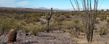 Flying E Ranch: South of The Sec of Flying E Ranch Rd & Us-60, Wickenburg, AZ 85390