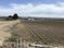 Development Land for Sale in Parma Idaho (13+ Acres): TBD Conway Rd, Notus, ID 83656
