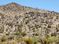 Mesquite Road: Mesquite Road, Dolan Springs, AZ 86441