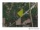 19300 NW County Rd 236, High Springs, FL 32643