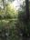 Affordable Hunting Tract Near Tallahassee: US 90, Monticello , FL 32344