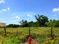 Land Lots for Sale: Hwy 90, Luling, TX 78648