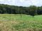 Large Knox County Acreage Tract for Sale: 3429 Clear Springs Rd, Mascot, TN 37806