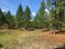 ±35-Acre Residential Development Tract: Oakhill Road, West Columbia, SC 29172