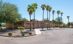 Educational Facility for Sale or Lease in Phoenix: 425 N 36th St, Phoenix, AZ 85008