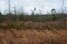 South Augusta Industrial Land/Build to Suit: 1660 Dixon Airline Rd, Augusta, GA 30906