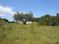 Two Industrial Land Parcels: West Orange and Cox Drive, Tallahassee, FL 32310