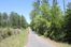 Fox Creek Tract: Seigler Road, Defuniak Springs, FL 32435