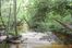 Bruce Creek Tract: West Indian Creek Ranch Road, Defuniak Springs, FL 32435