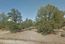 39 Acres Residential Subdivision land with some Multi Family