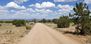 Antelope Run Road: Antelope Run Road, Ash Fork, AZ 86320
