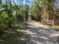 The Longleaf Tract : Jim French Road, Crawfordville, FL, 32327 