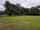 Commerical Vacant Land in Grand Coteau: TBD Grand Coteau, Grand Coteau, LA 70541