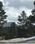 29713 Troutdale Scenic Dr, Evergreen, CO, 80439