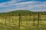 Chisholm Trail Winery: 2421 Usener Rd, Fredericksburg, TX 78624