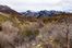 Private Estate Lot in East Sandy: 9097 S Canyon Gate Rd, Sandy, UT 84093