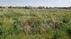 Pheasant Crossings, Williston, ND 58801