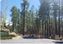 PINETOP CROSSING CONDOMINIUMS: SWC Buck Springs Road & Buck Crossing Way, Pinetop-Lakeside, AZ 85935