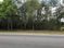 Pine Forest Road Acreage: 6900 Blk Pine Forest Road, Pensacola, FL 32526