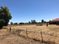 2461 Old Highway 99W, Williams, CA 95987
