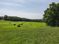Beautiful Riverfront Farm and Hunting Land: 1551  South Bull Pen Road, Wiseman, AR 72587