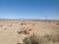 rodeo rd: rodeo rd, Lucerne Valley, CA 92356