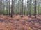 0 Roopville Veal Road Tract 3 (4.0 acres) SW, Roopville, GA 30170